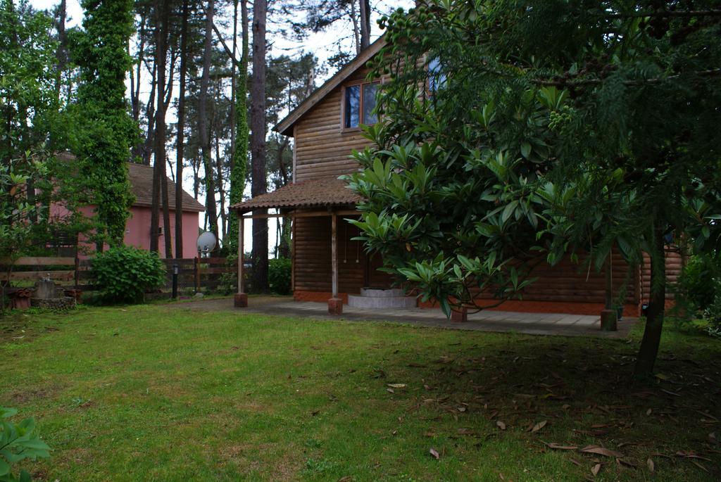 Green Cottage Shekvetili Ureki Eksteriør billede